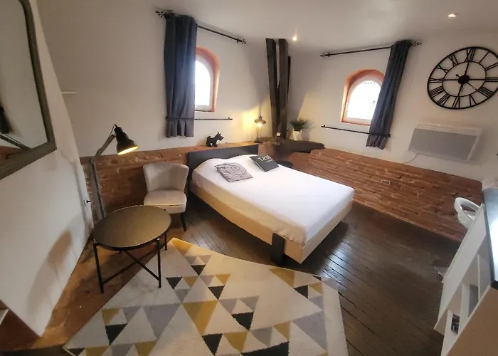 Studio Typique Toulousain Capitole
