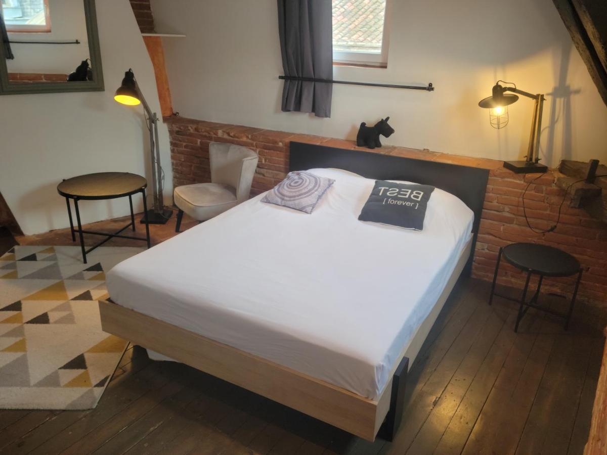 Apartamento Studio Typique Toulousain Capitole *